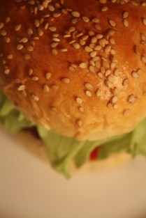 Hamburger (2)