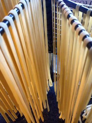 13254321_10206156048768820_336313043413195368_n